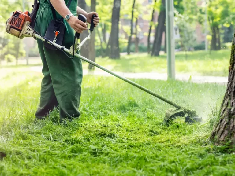 starting a landscaping business