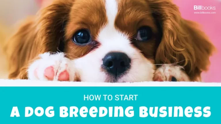 Starting a dog breeding business