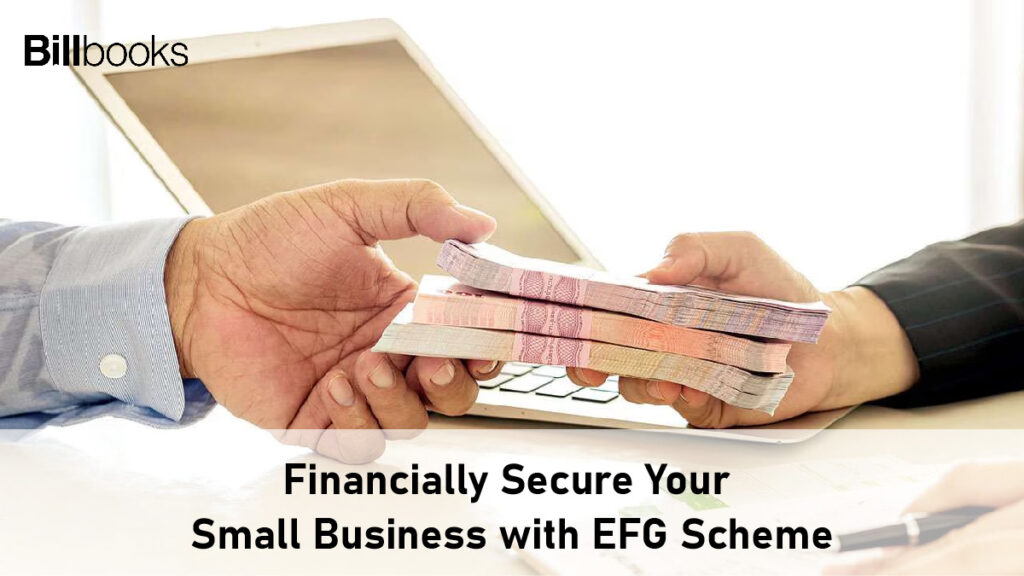 Financially Secure Your Small Business with EFG Scheme