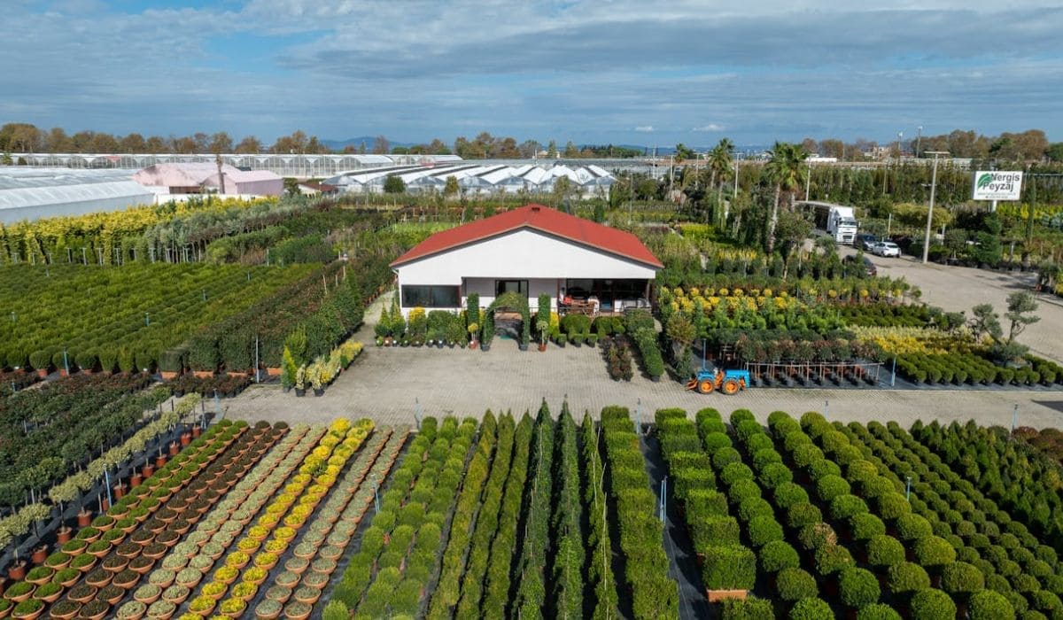 Landscaping business