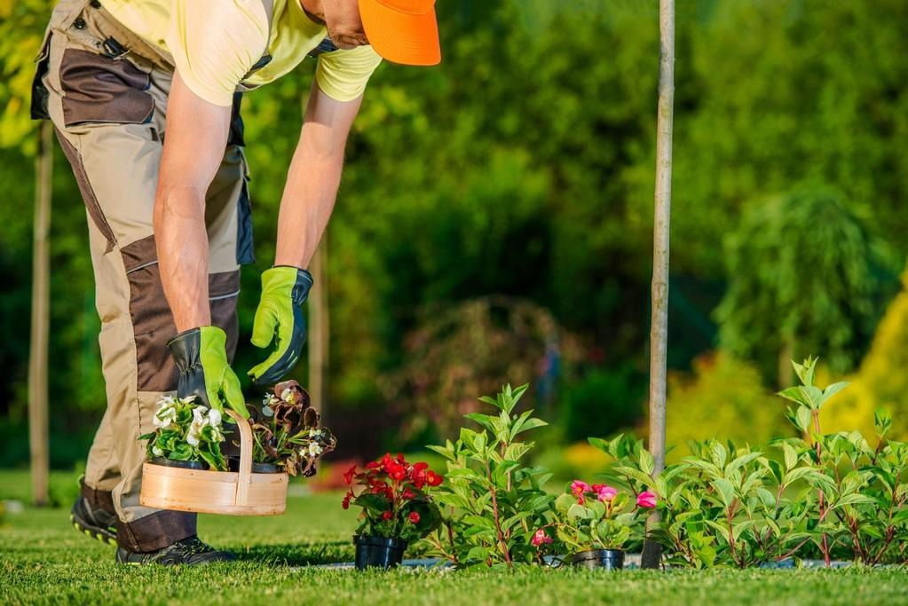 Landscapers 3