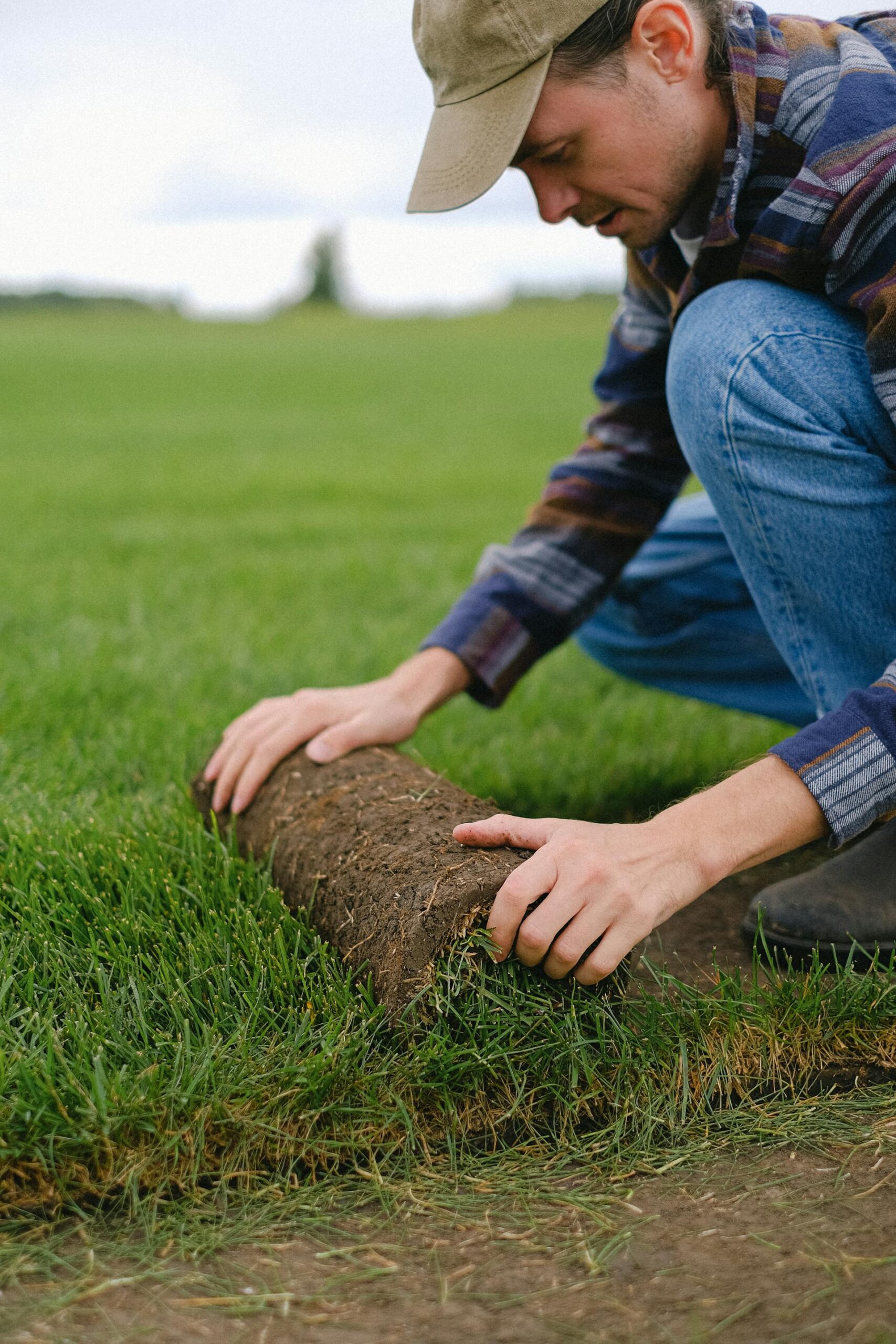 Landscapers