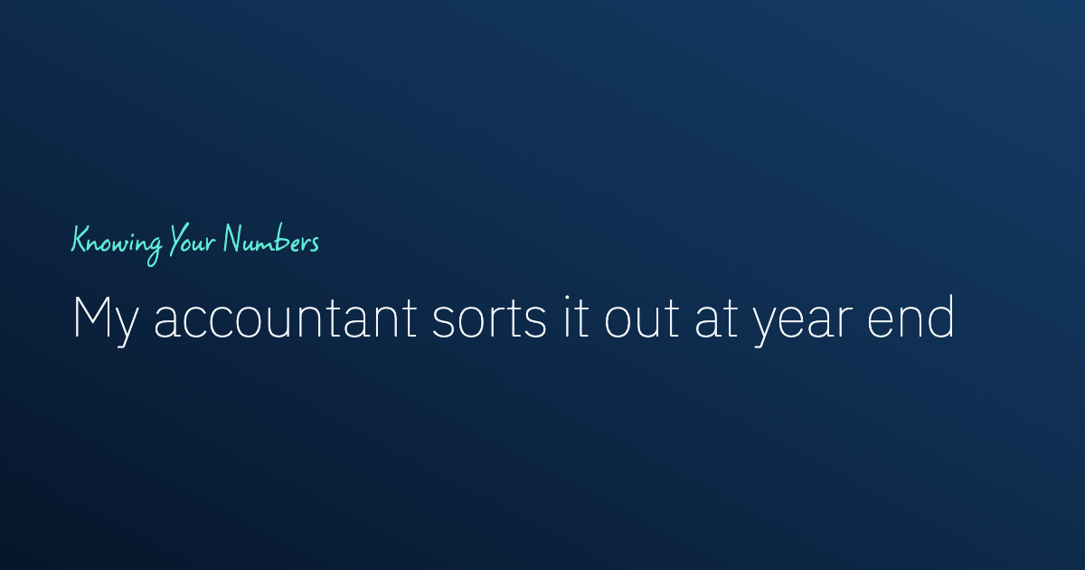My Accountant Sorts It Out at Year End: Do I Need to Keep My Own Books?