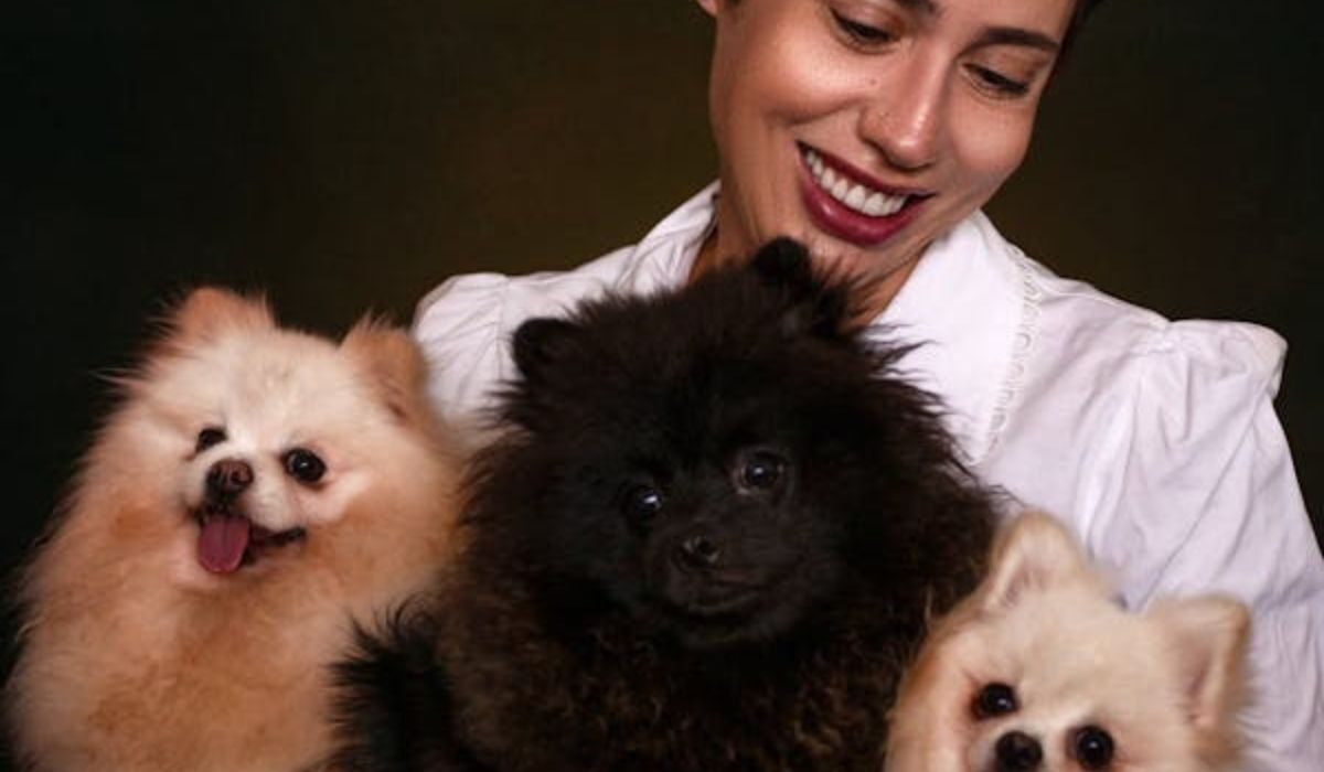 A woman carrying 3 dogs in her hand