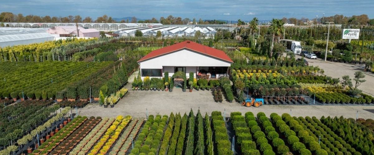 Landscaping business