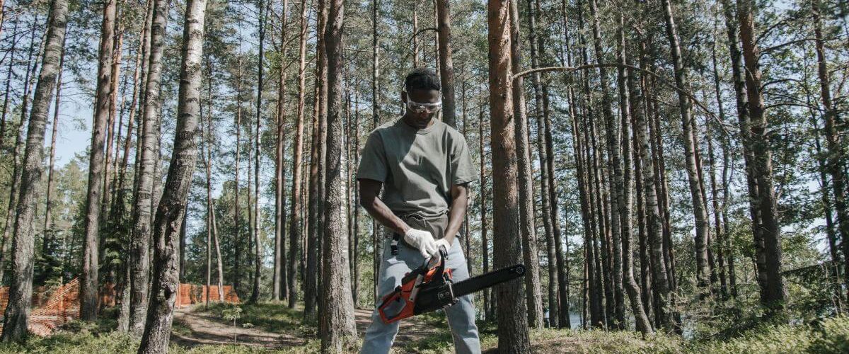 Become an Arborist